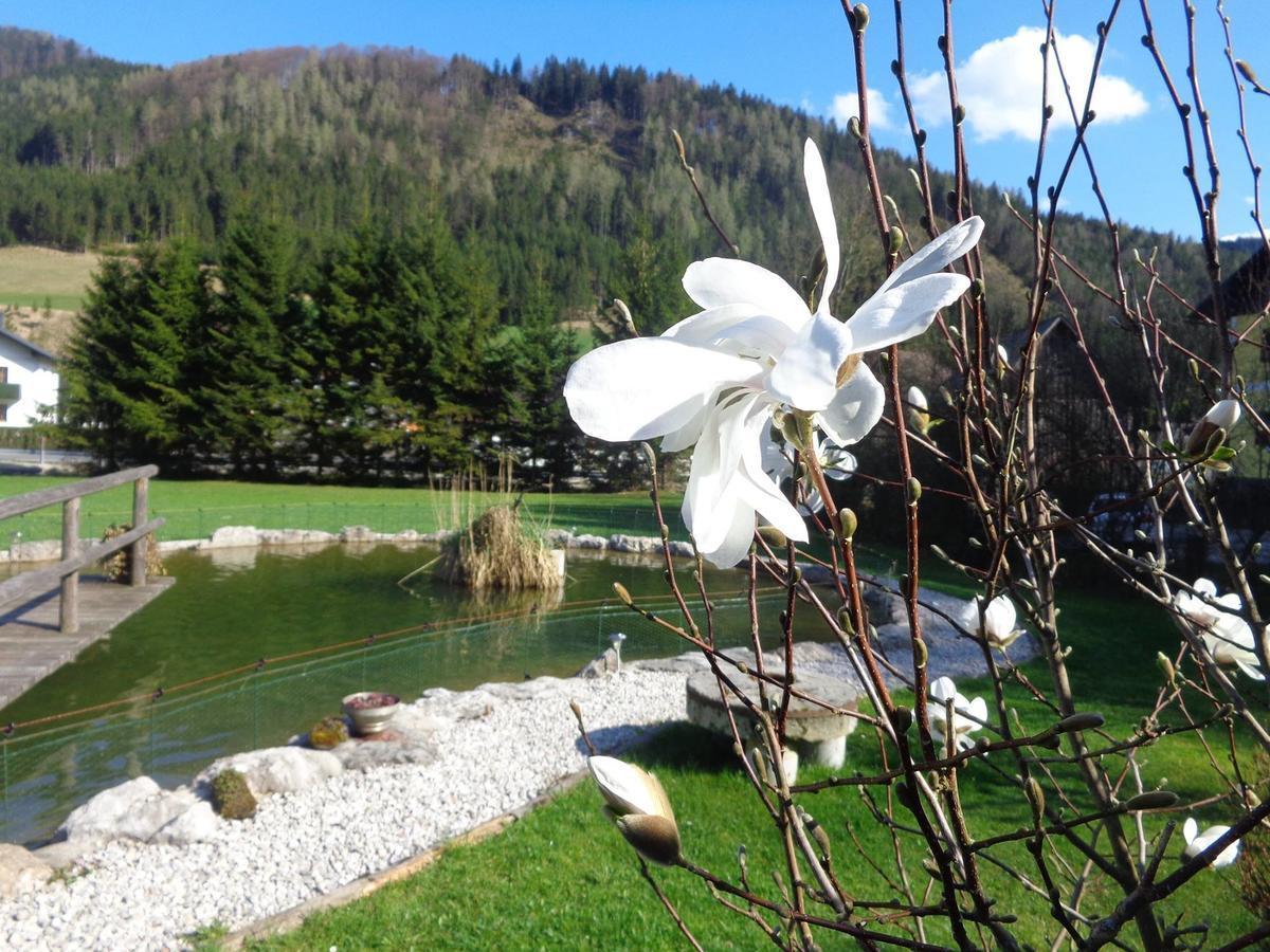 Villa Oberbach Strohmarkt Esterno foto